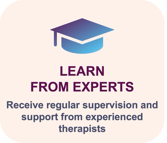 Receive regular supervision and support from experienced therapists