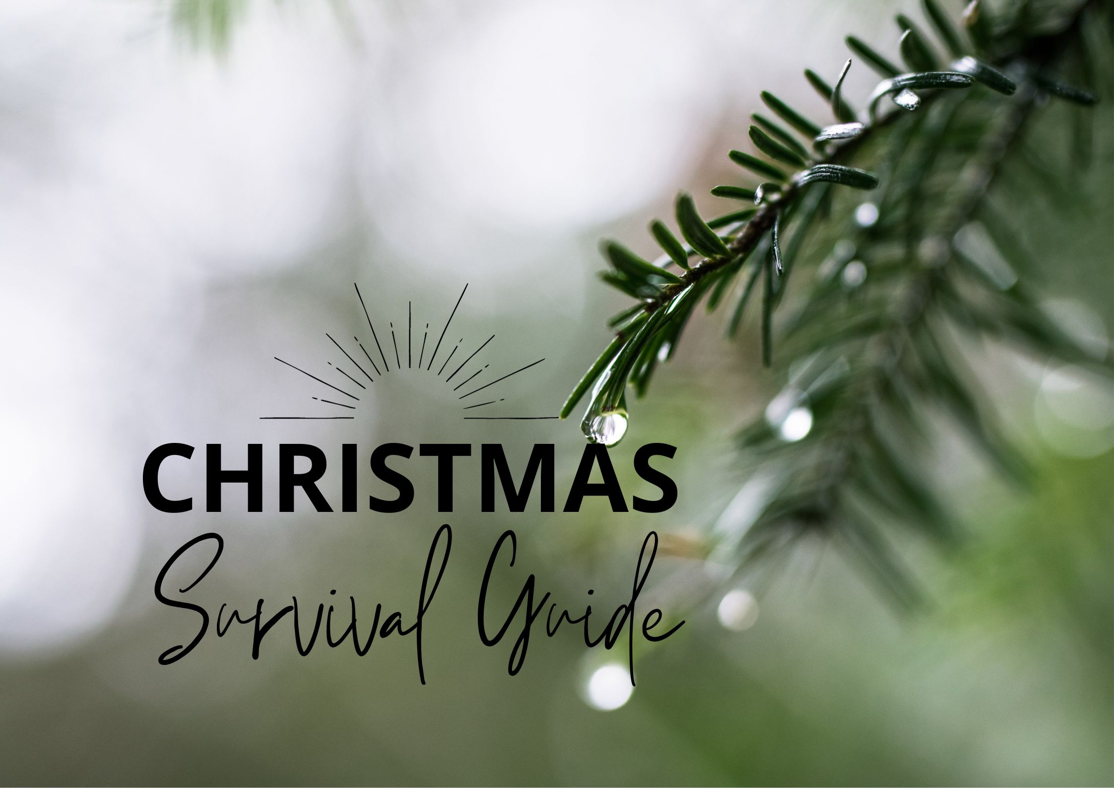 Christmas Survival Guide: Coping Strategies for Parents
